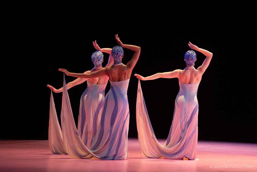 Signes de Carolyn Carlson